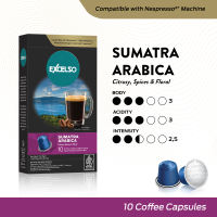 Excelso Kopi Kapsul Sumatra Arabica - Nespresso Compatible Coffee Capsule