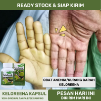 Obat Anemia Kurang Darah HB Rendah Menaikan HB Rendah Trombosit Rendah Badan Lemas Kepala Sering Pusing Kliyengan Penambah Darah Meningkatkan Jumlah Sel Darah Dengan Keloreena Ekstrak Daun Kelor