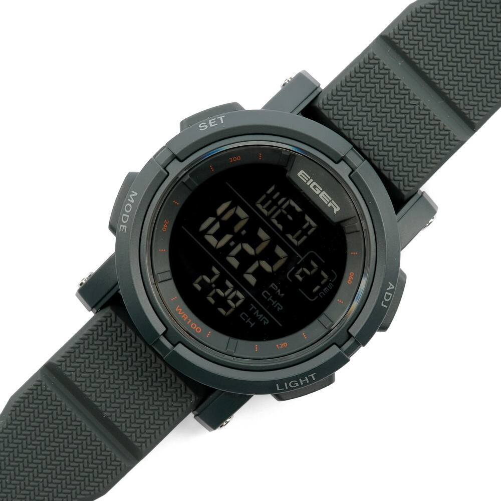 910010404 NUCLEUS - DGR