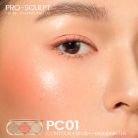 FOCALLURE Pro-Sculpt 3-in-1 Palette Highlighter & Contour & Blush Multi-Use 3D Do-It-All Upgrade