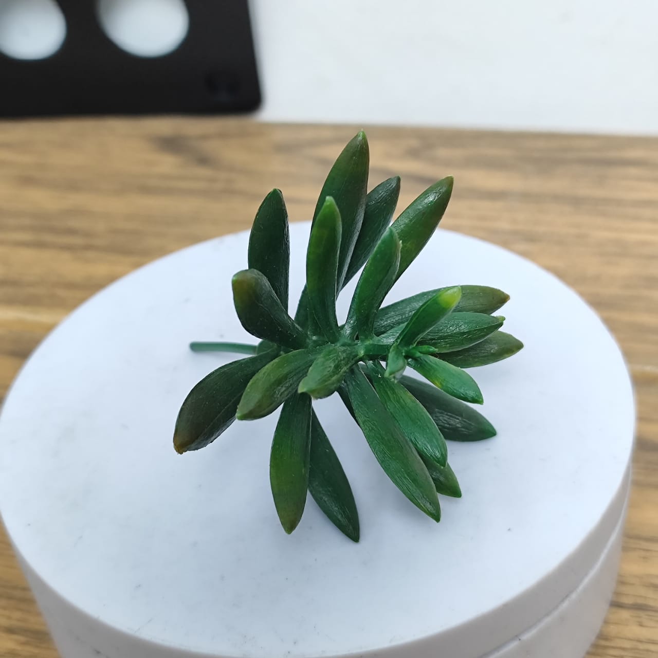 Tanaman Hias Kaktus Sukulen Latex Mini Ornamen Dekorasi Artificial Flower Buatan COD PBP204