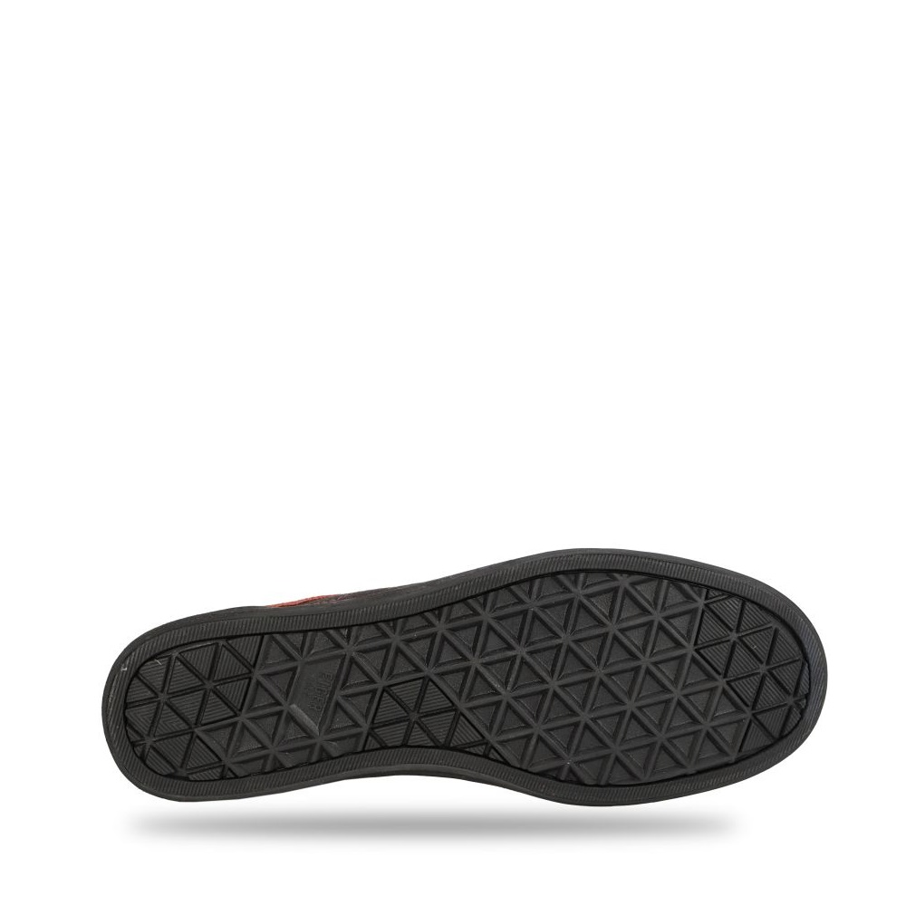 910008184 BISKRA - TER