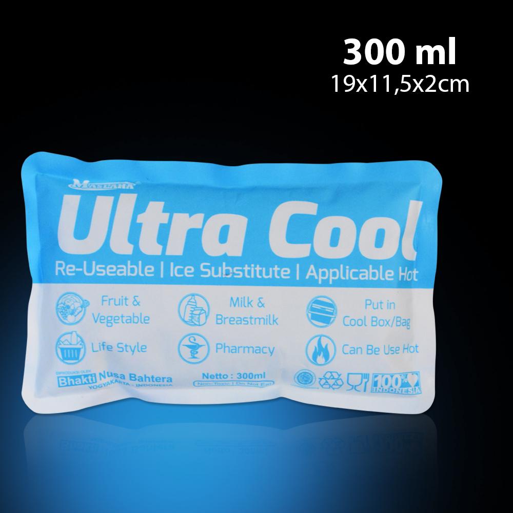 Z-Two Cooler Bag ASI / Tas ASI / Coolerbag Penyimpan ASI + Gratis Ice Gel Januari 2019 - 3 Z-Two Cooler Bag ASI / Tas ASI / Coolerbag Penyimpan ASI + Gratis Ice Gel - 3