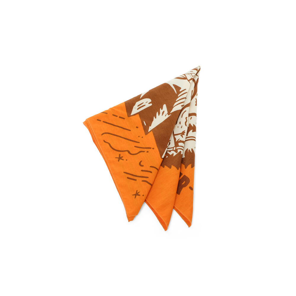 910010594 WS VIRERE NECKERCHIEF - ORA