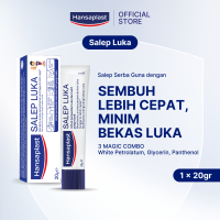 Hansaplast Salep Luka 20g
