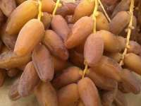 kurma tangkai 1kg/kurma tunisia tangkai/palm frut Kemasan Thinwall