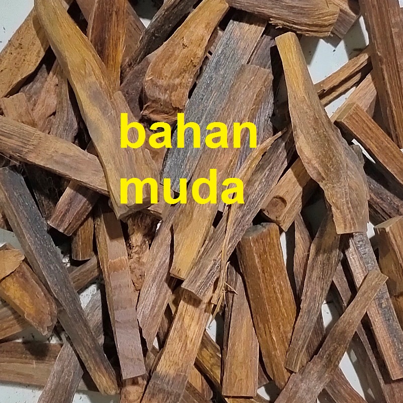 kayu gaharu stik kualitas super grade A aquilaria malaccensis original kalimantan 10gram 100% natural