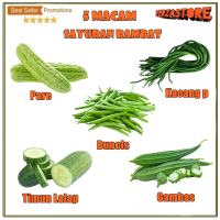 Paket 5 Macam Benih Sayuran Rambat Bibit Sayur Merambat Buncis Kacang Pare Oyong Timun Panjang Lalap