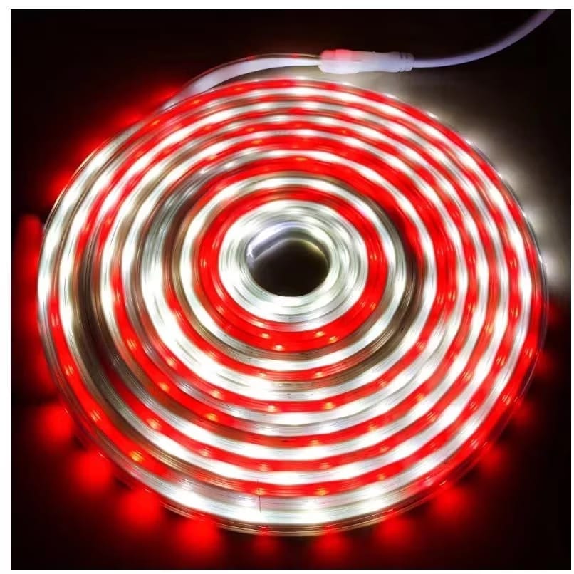 Lampu LED Strip Selang paket merah putih 220V + Adaptor 8M Outdoor Led Strip Agustus Lampu Hias