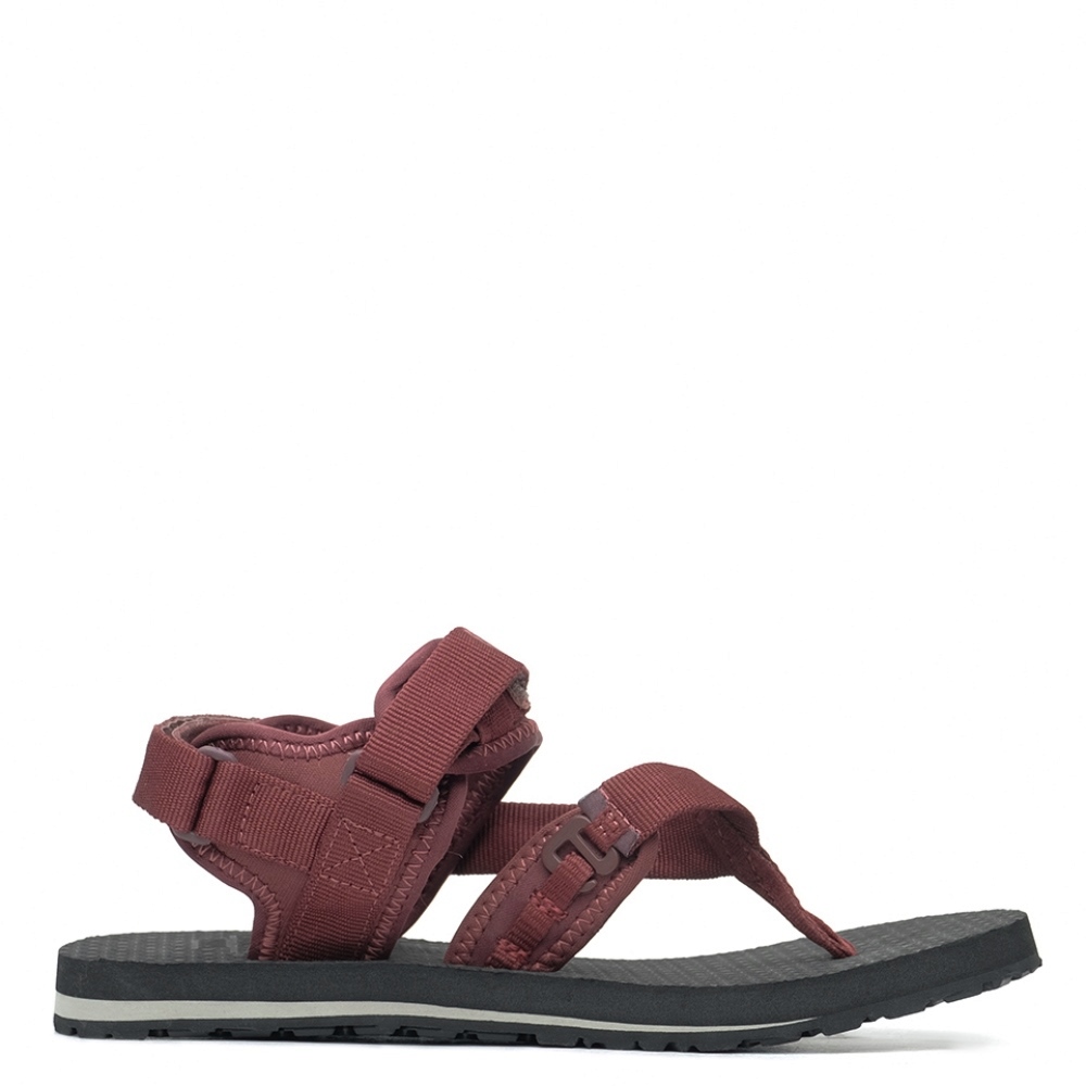 MUIZENBERG WS (910006629)