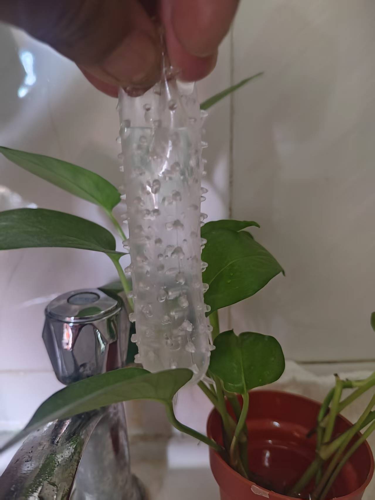 Plastik pembungkus gelembung
