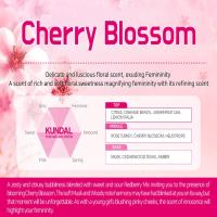 KUNDAL Honey & Macadamia Nature Shampoo | Protein Hair Treatment 500ml - All Variant (Made in Korea)