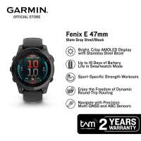 Garmin Fenix E 47mm - Slate Gray Steel/Black