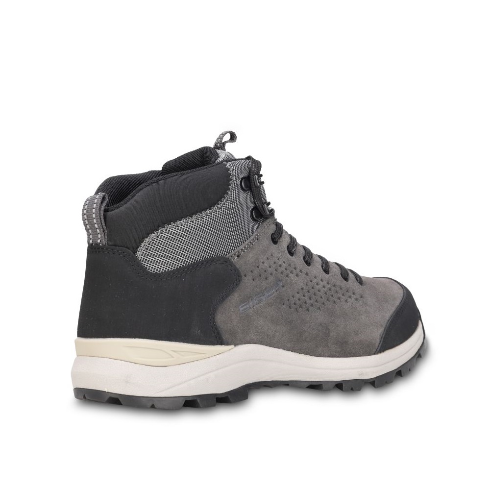 910008427 WAGLERI MID