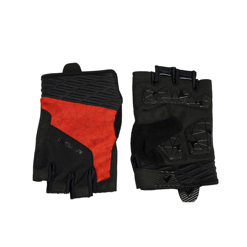 CICLISMO HF (910009803)