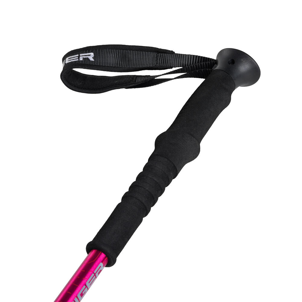 910009735 WS VALOR TREKKING POLE 1.0