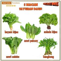 Biji Benih Paket Hemat 5 Macam Benih Sayuran Daun 30 Hari Panen Bayam Kangkung Sawi Pakcoy Selada Bibit Tanaman Sayur