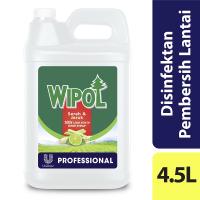 Wipol Professional Disinfektan Bkc Pembersih Lantai Sereh Jeruk Jerigen 4.5L