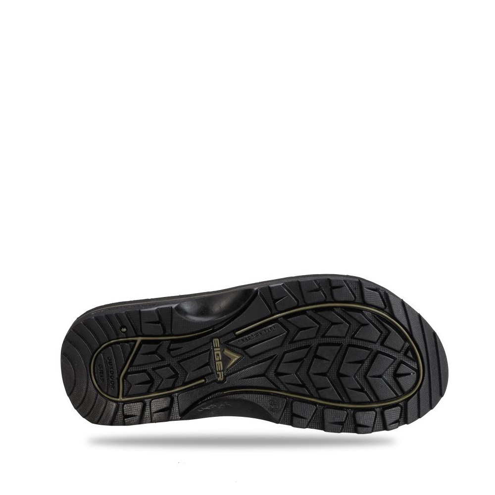 910008543 KINKAJOU 3.5 - OLI