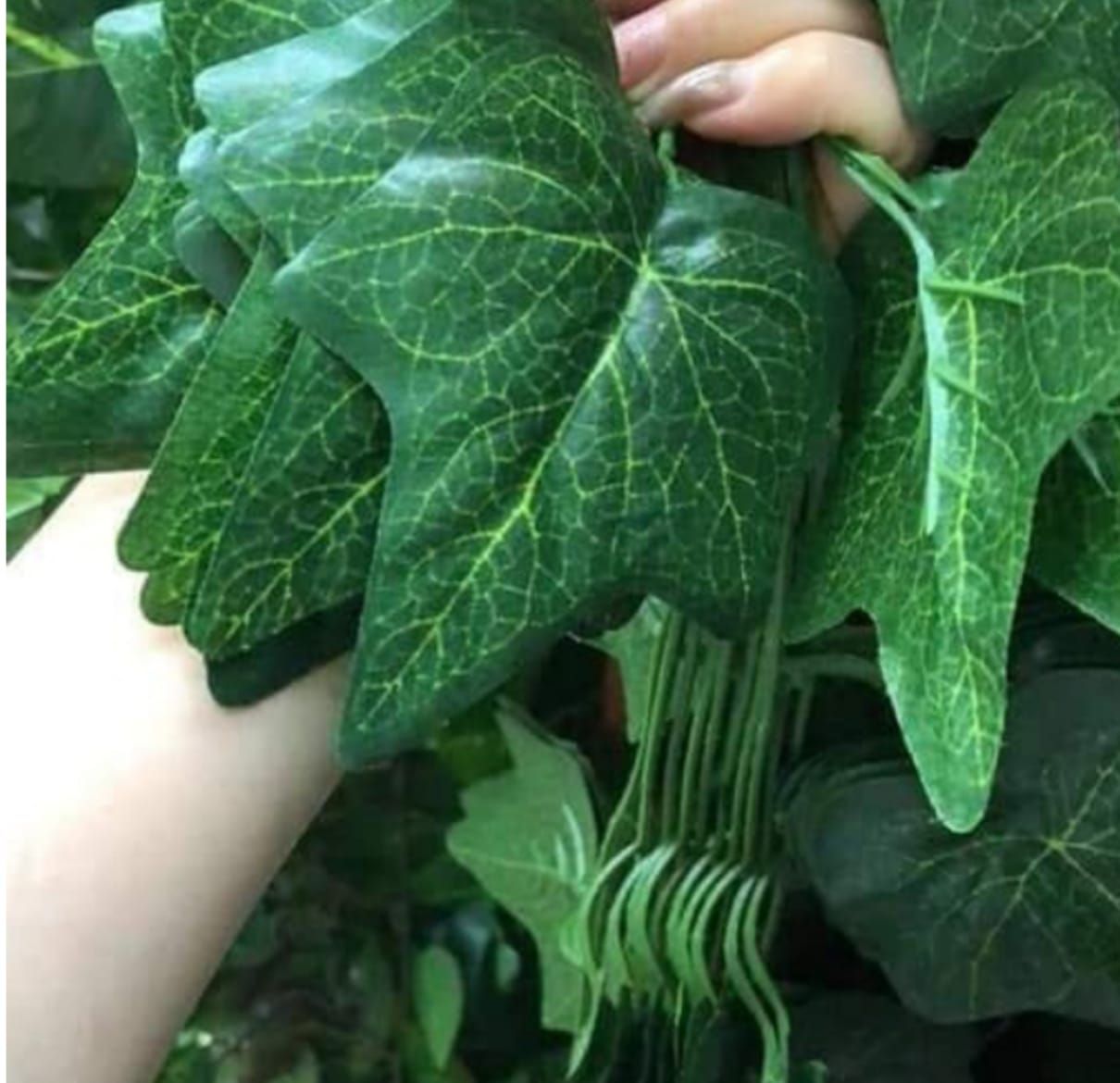 Daun Rambat Plastik Jumbo Besar Dekorasi Hiasan Dinding 2 meter Anggur Semangka