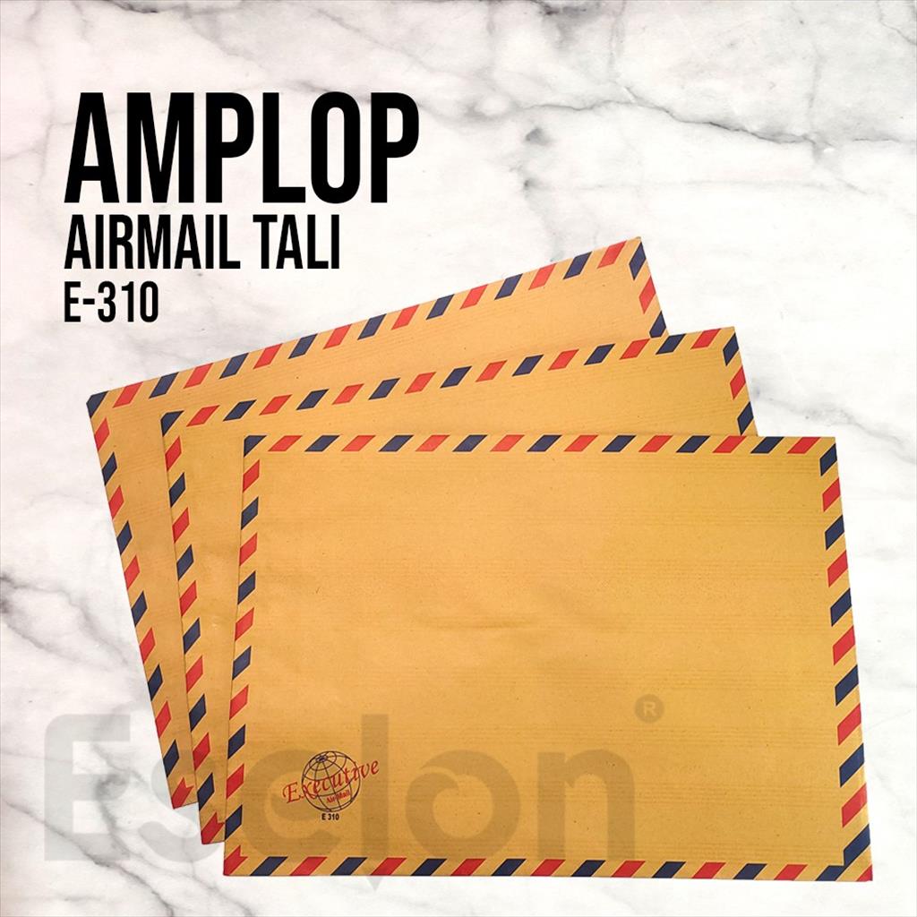 10pcs Amplop Coklat Tali Executive E-310 / 1pack Amplop lamaran kerja