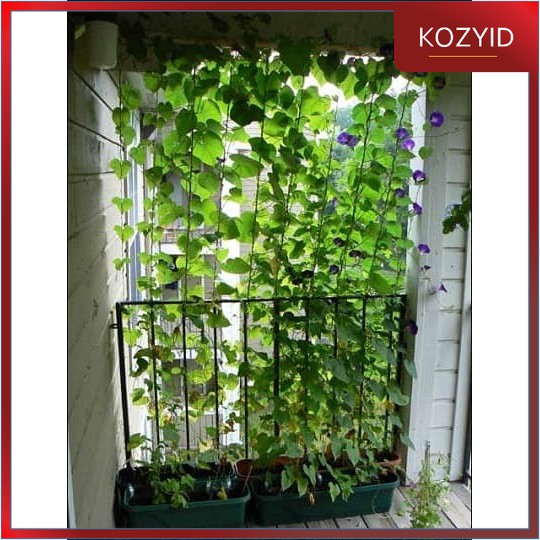 KOZY.ID - 1(SATU) HELAI Daun Rambat DAUN Daun Artifisial dekorasi