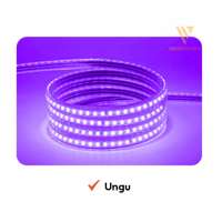 Lampu LED Rumah Strip Selang 220V Panjang 5 | 10 |  30 Meter Dekorasi Outdoor Indoor Warm White Biru