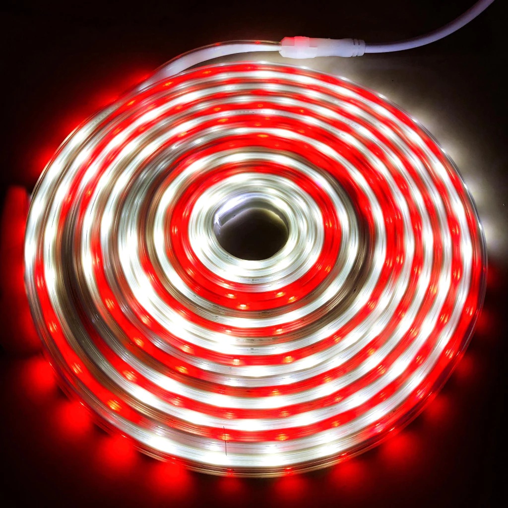Lampu LED Strip Selang paket Warna Warni 220V + Adaptor 6M Outdoor Led Strip Agustus Natal Lampu Hias Komplek