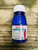 Insektisida MATADOR 25EC isi 50ml 80ml 250ml dari Syngenta
