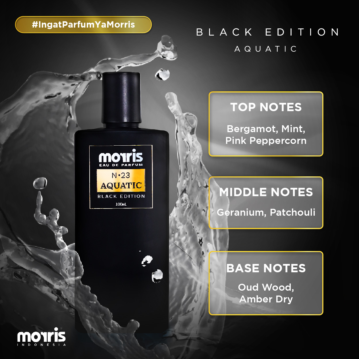 Morris Eau De Parfum Black Edition 100ml - Parfum Pria