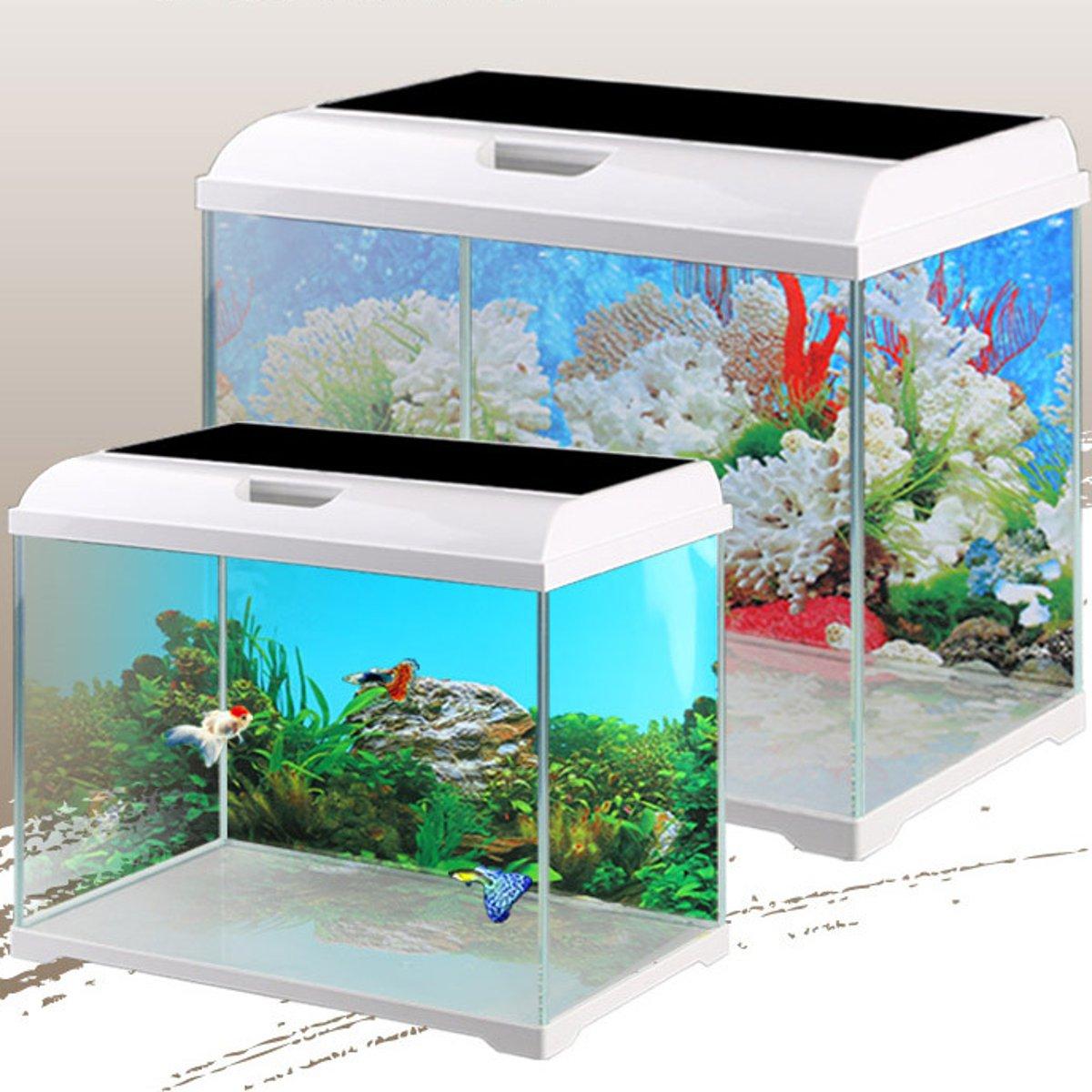 Unduh 400 Koleksi Background Aquarium Keren HD Gratis