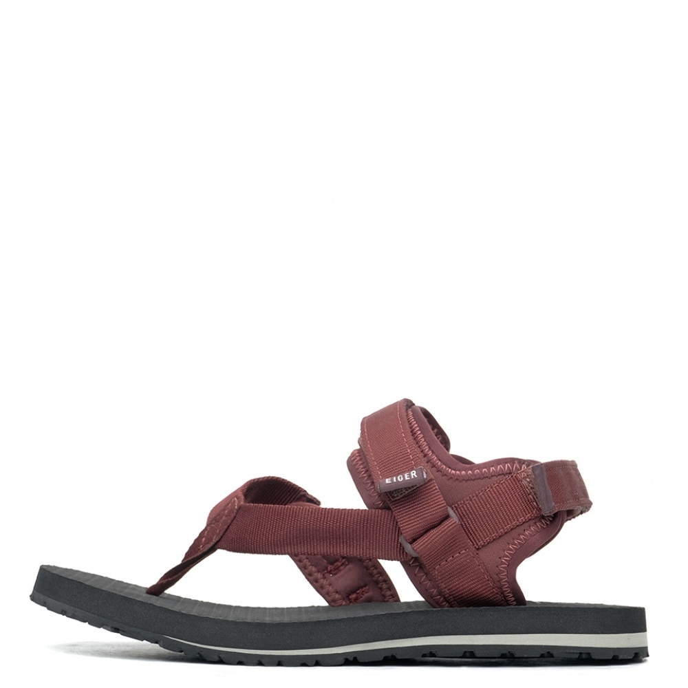 MUIZENBERG WS (910006629)