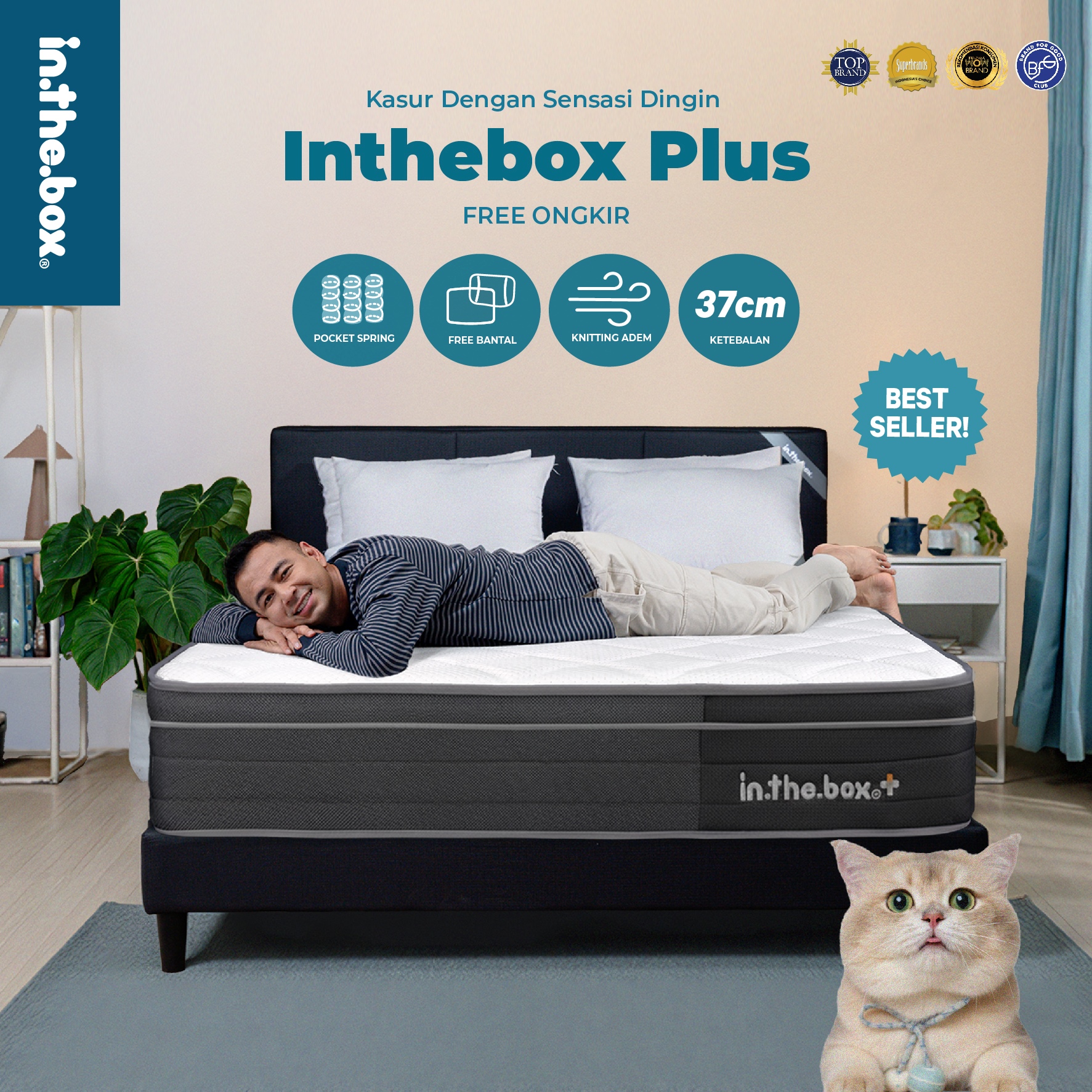 Kasur Spring Bed INTHEBOX PLUS (Plush Top) - FREE Bantal Ukuran 90x200 100x200 120x200 140x200 160x200 180x200 & 200x200
