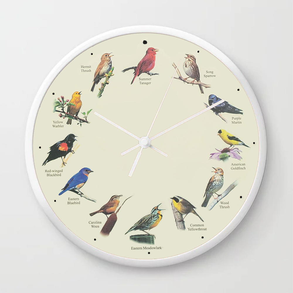 Jam Dinding Dekoratif 12 Burung Populer Jam Kreatif Unik Cocok untuk Rumah/Ruang Tamu/Kantor 8inch