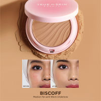 True to Skin - Skinlike Porefecting Powder Foundation