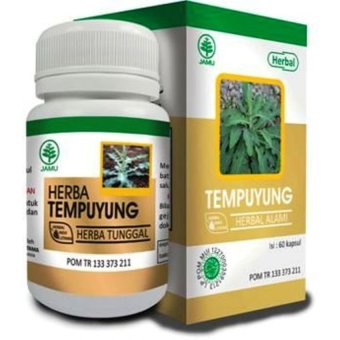 obat asam urat