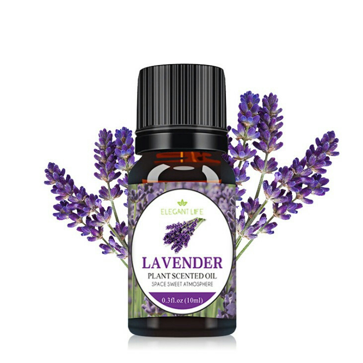 LAVENDER AROMATHERAPY ESSENTIAL OIL 10ML Minyak Diffuser | Minyak Esensial | Aroma Terapi | Pengharum Ruangan