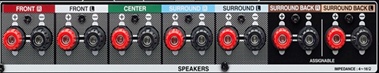 Speaker terminals