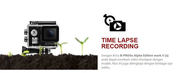  photo Spek 17_zpsqtda2q0c.jpg