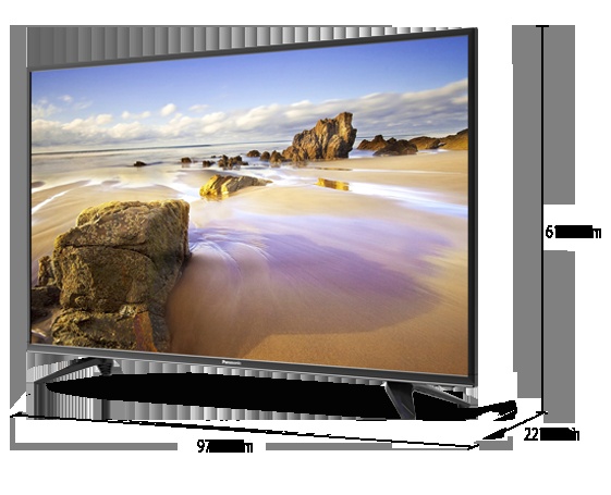 LED TV Viera - E306 43"