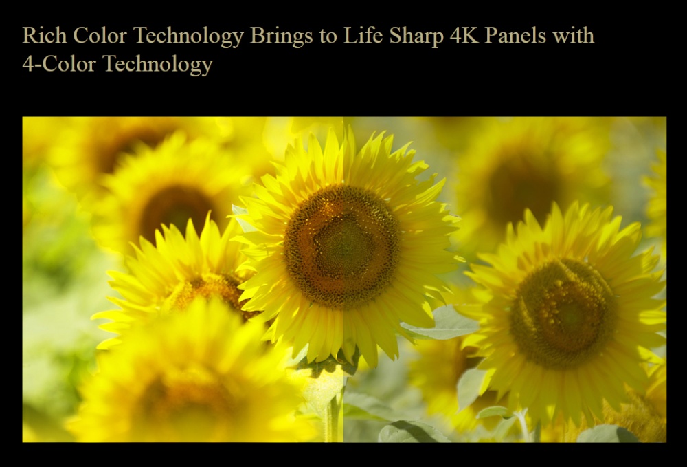 sharp-tv